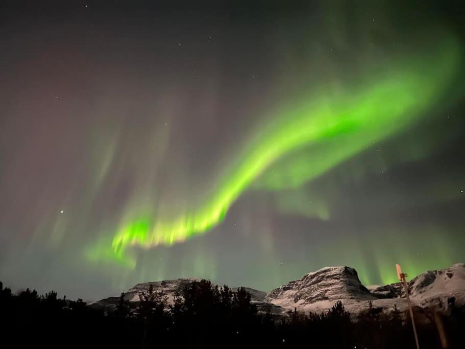 Cozy House In The Heart Of Tromsdalen. Central 特罗姆瑟 外观 照片